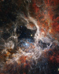 The Arachnid (Tarantula Nebula) — James Webb Space Telescope fine art print